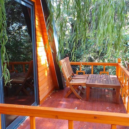 קמר Trinitys Forest Bungalows מראה חיצוני תמונה
