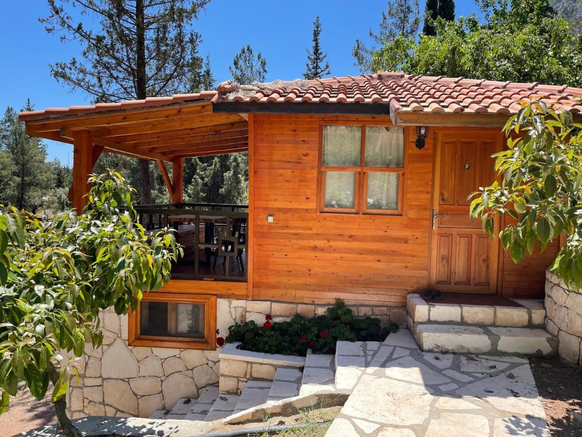 קמר Trinitys Forest Bungalows מראה חיצוני תמונה