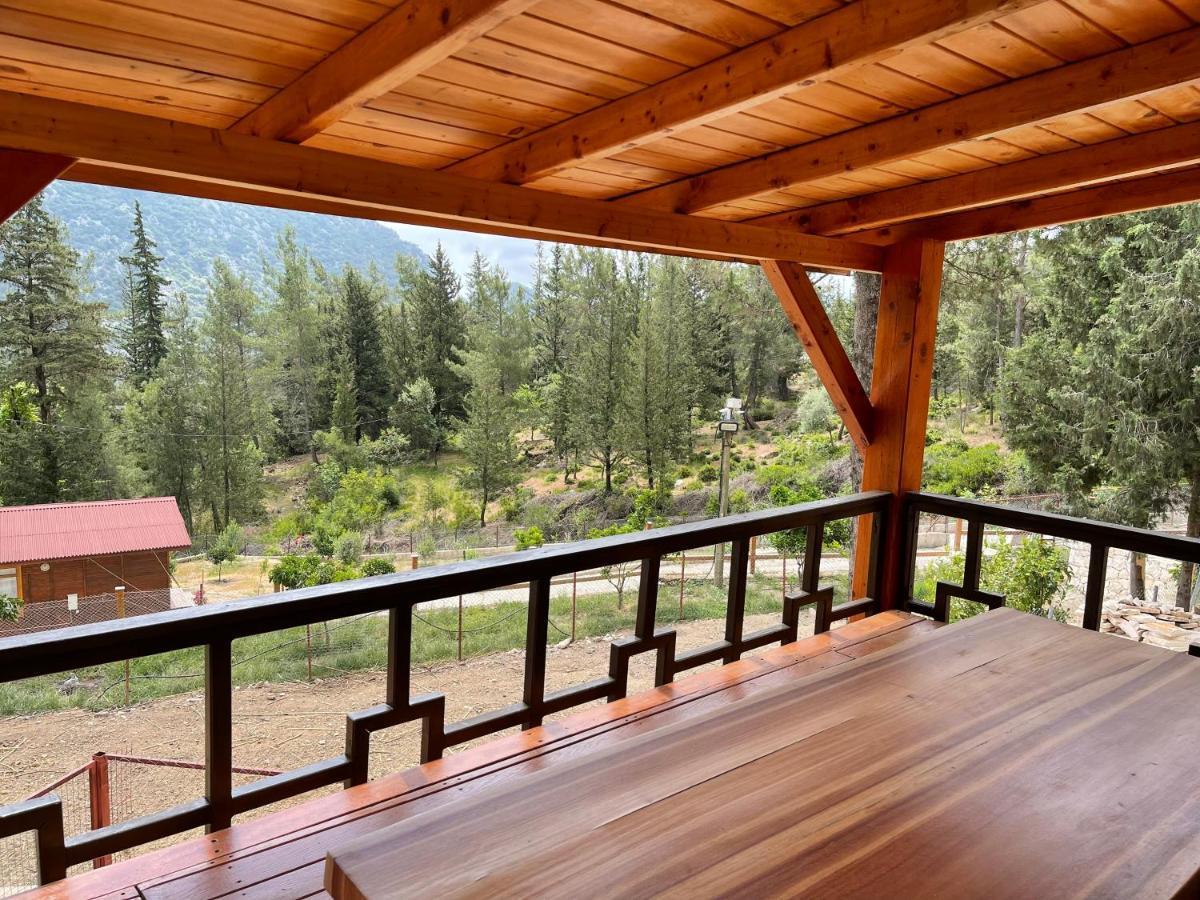קמר Trinitys Forest Bungalows מראה חיצוני תמונה