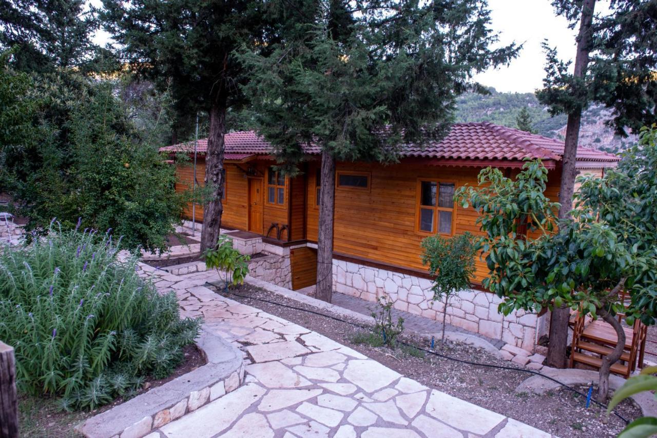 קמר Trinitys Forest Bungalows מראה חיצוני תמונה
