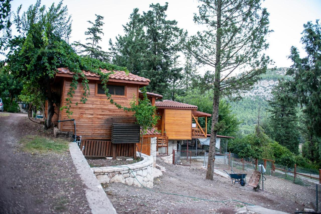 קמר Trinitys Forest Bungalows מראה חיצוני תמונה