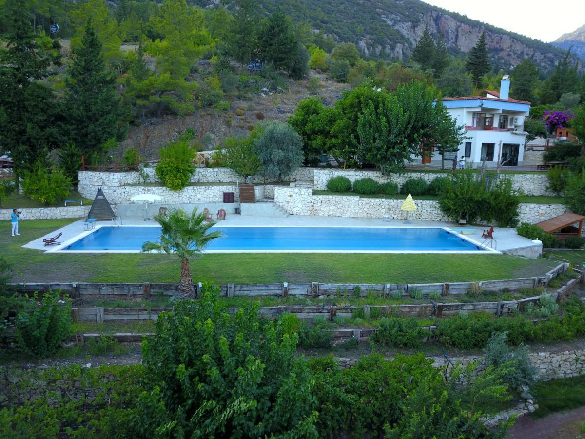 קמר Trinitys Forest Bungalows מראה חיצוני תמונה