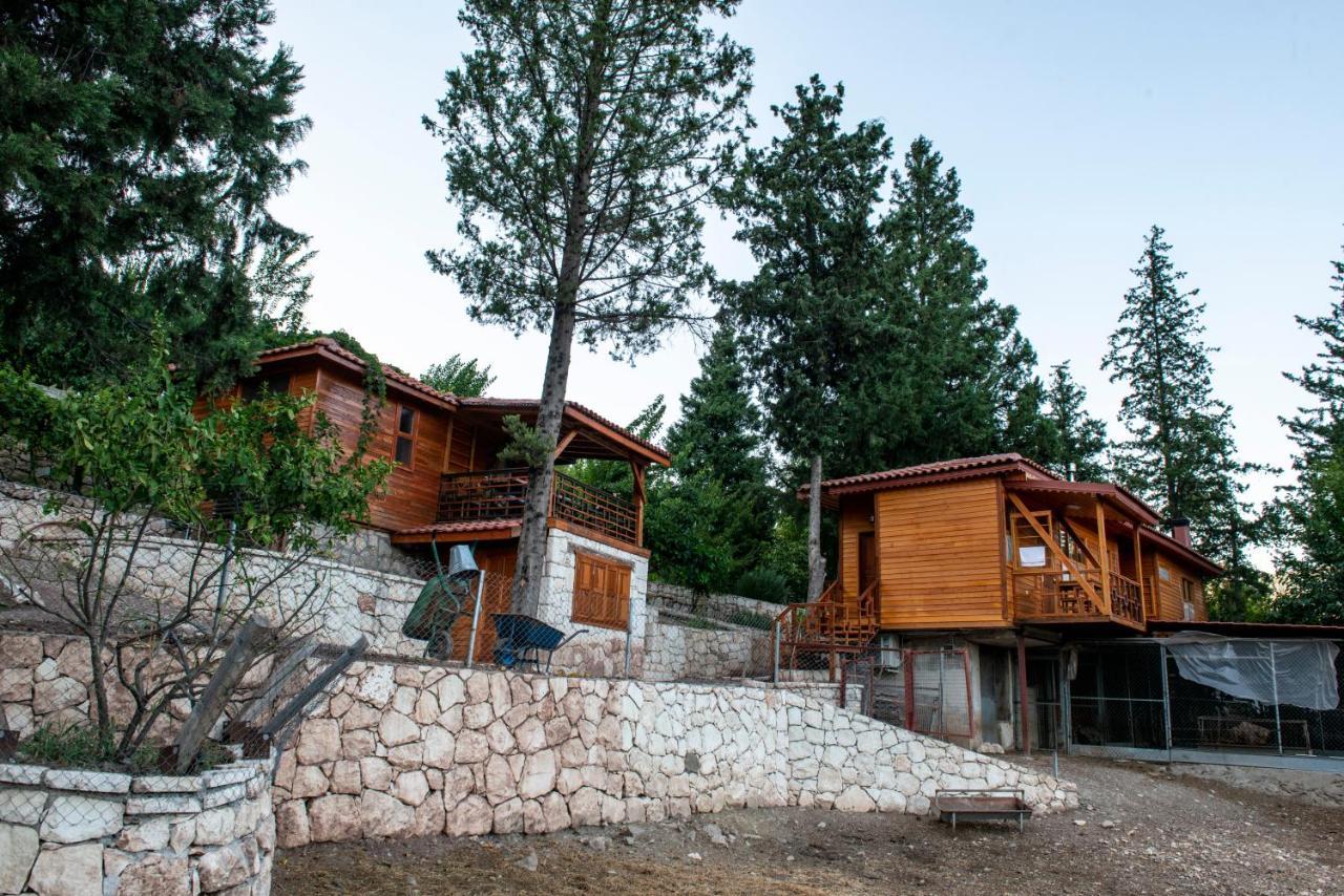 קמר Trinitys Forest Bungalows מראה חיצוני תמונה