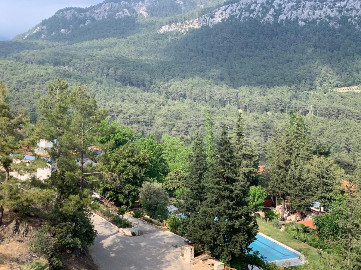קמר Trinitys Forest Bungalows מראה חיצוני תמונה