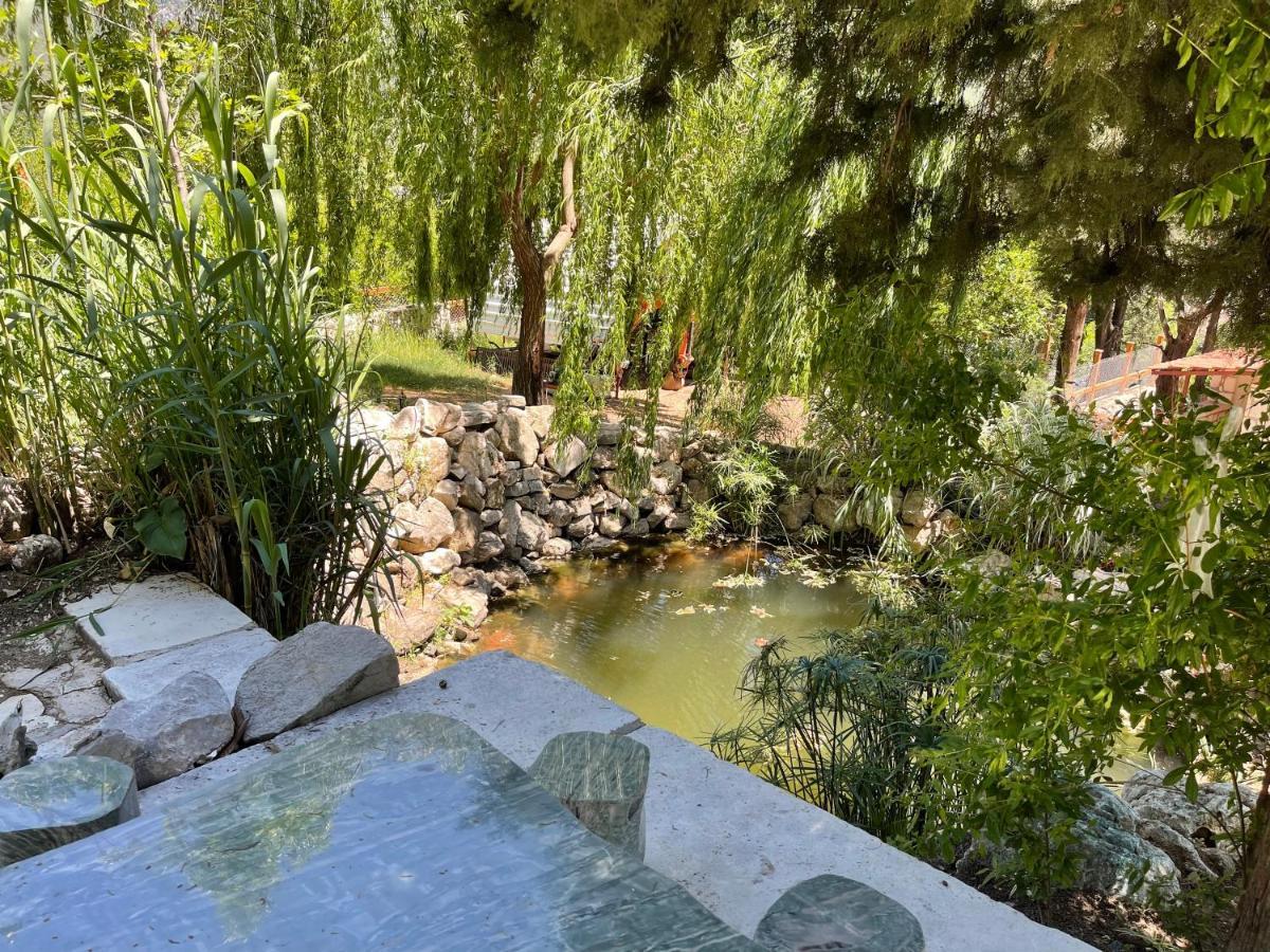 קמר Trinitys Forest Bungalows מראה חיצוני תמונה