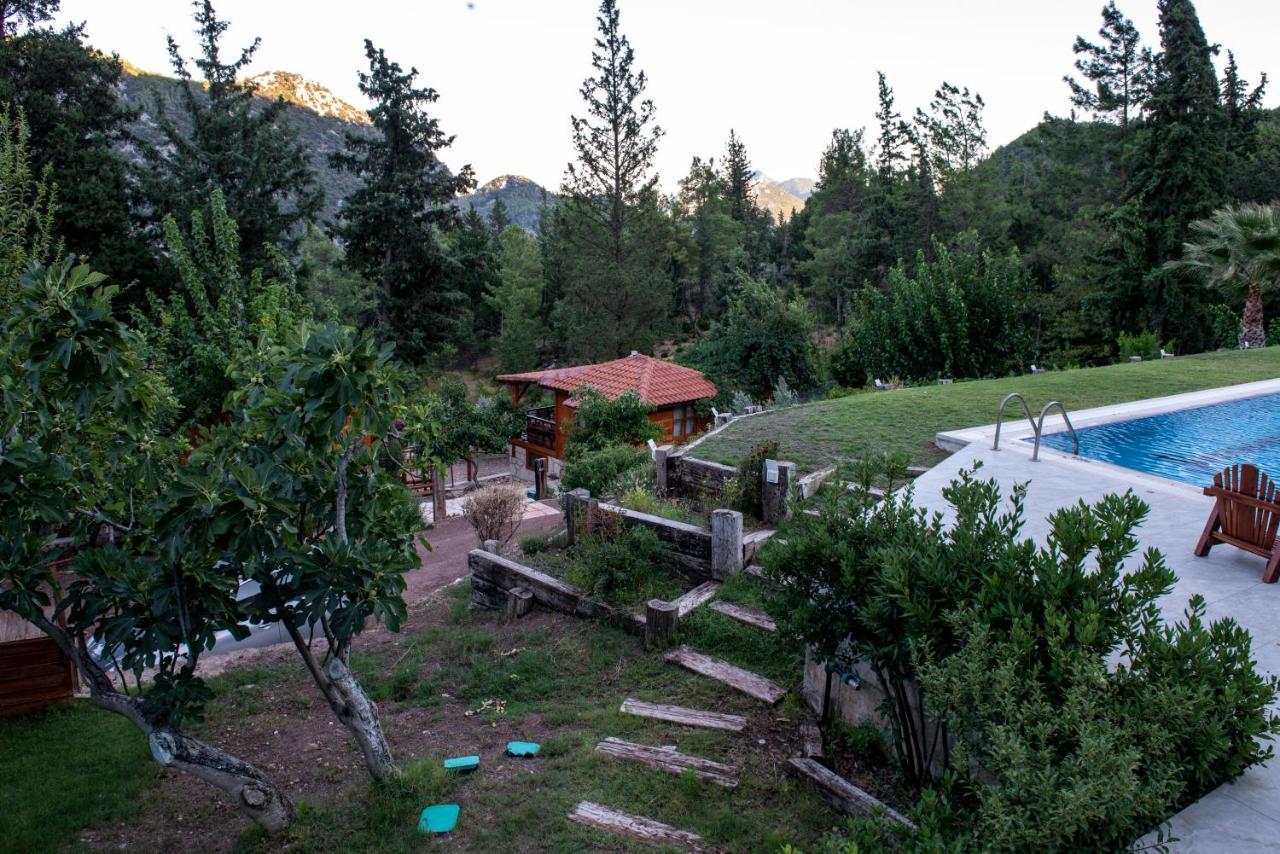 קמר Trinitys Forest Bungalows מראה חיצוני תמונה