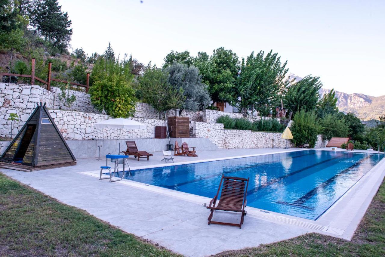 קמר Trinitys Forest Bungalows מראה חיצוני תמונה