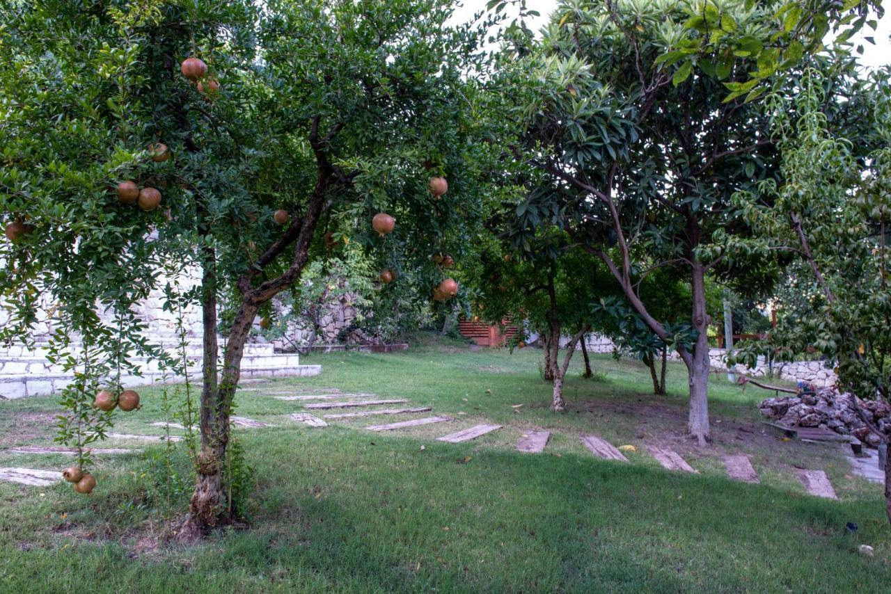 קמר Trinitys Forest Bungalows מראה חיצוני תמונה