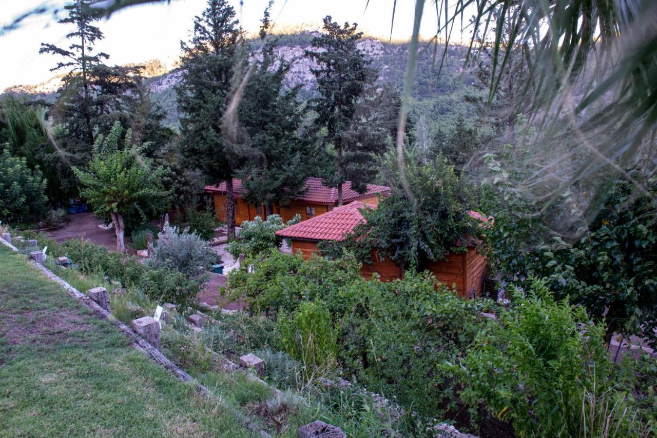 קמר Trinitys Forest Bungalows מראה חיצוני תמונה