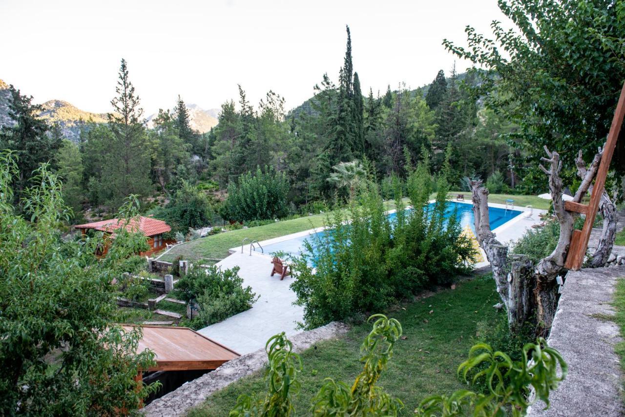 קמר Trinitys Forest Bungalows מראה חיצוני תמונה