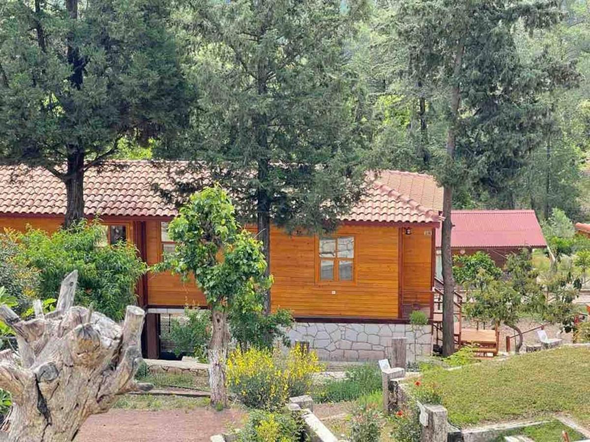 קמר Trinitys Forest Bungalows מראה חיצוני תמונה