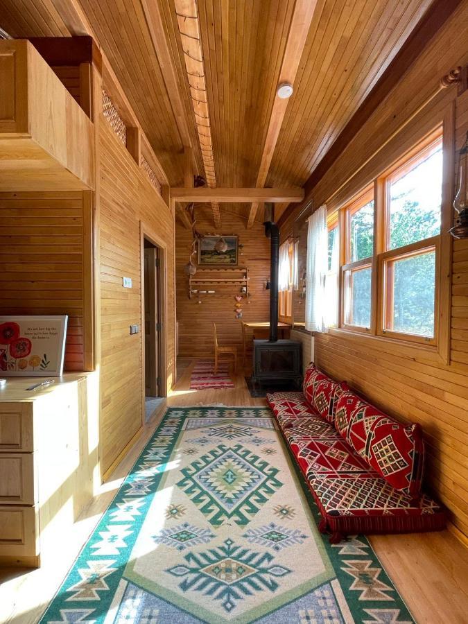 קמר Trinitys Forest Bungalows מראה חיצוני תמונה