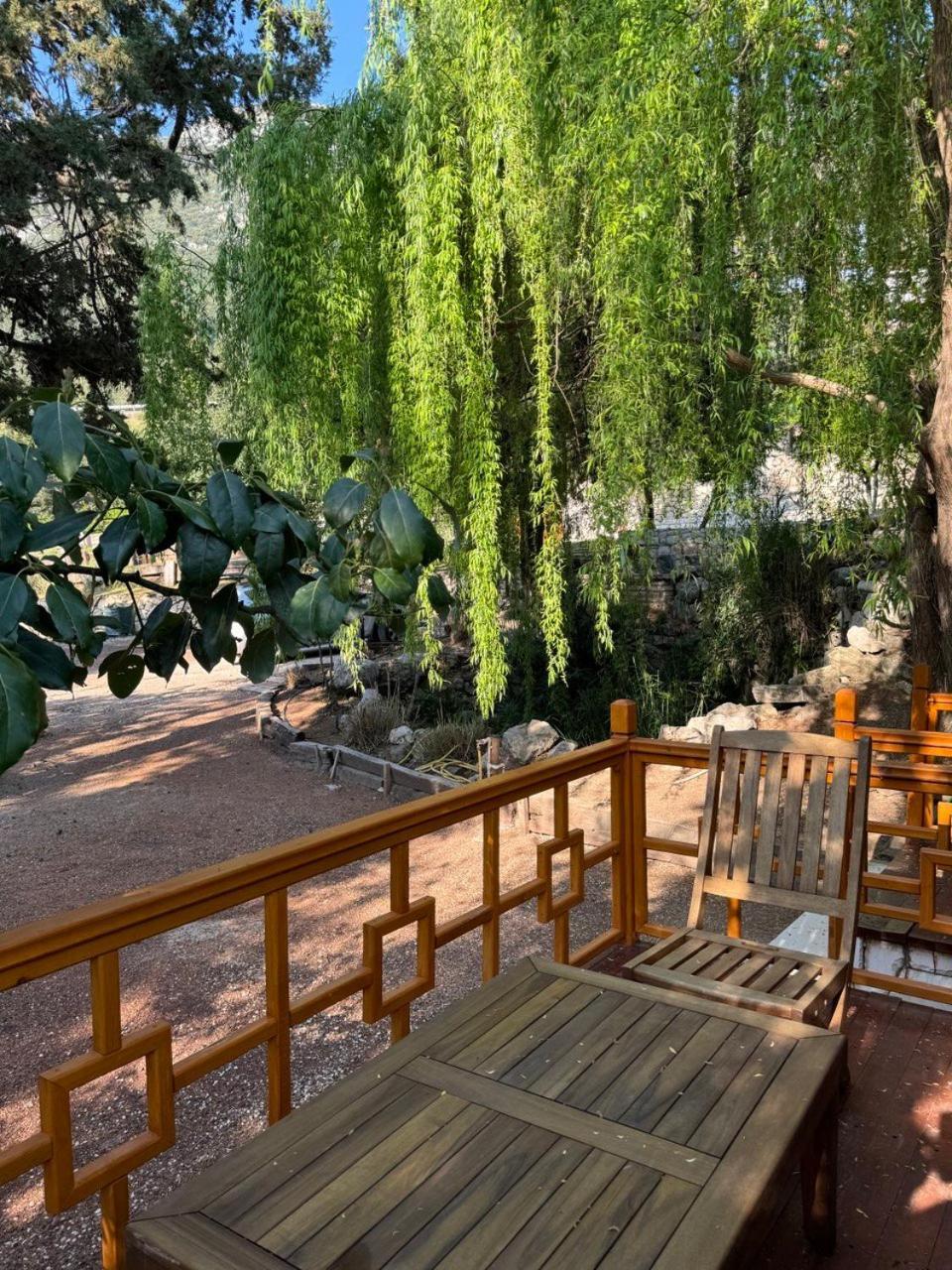 קמר Trinitys Forest Bungalows מראה חיצוני תמונה
