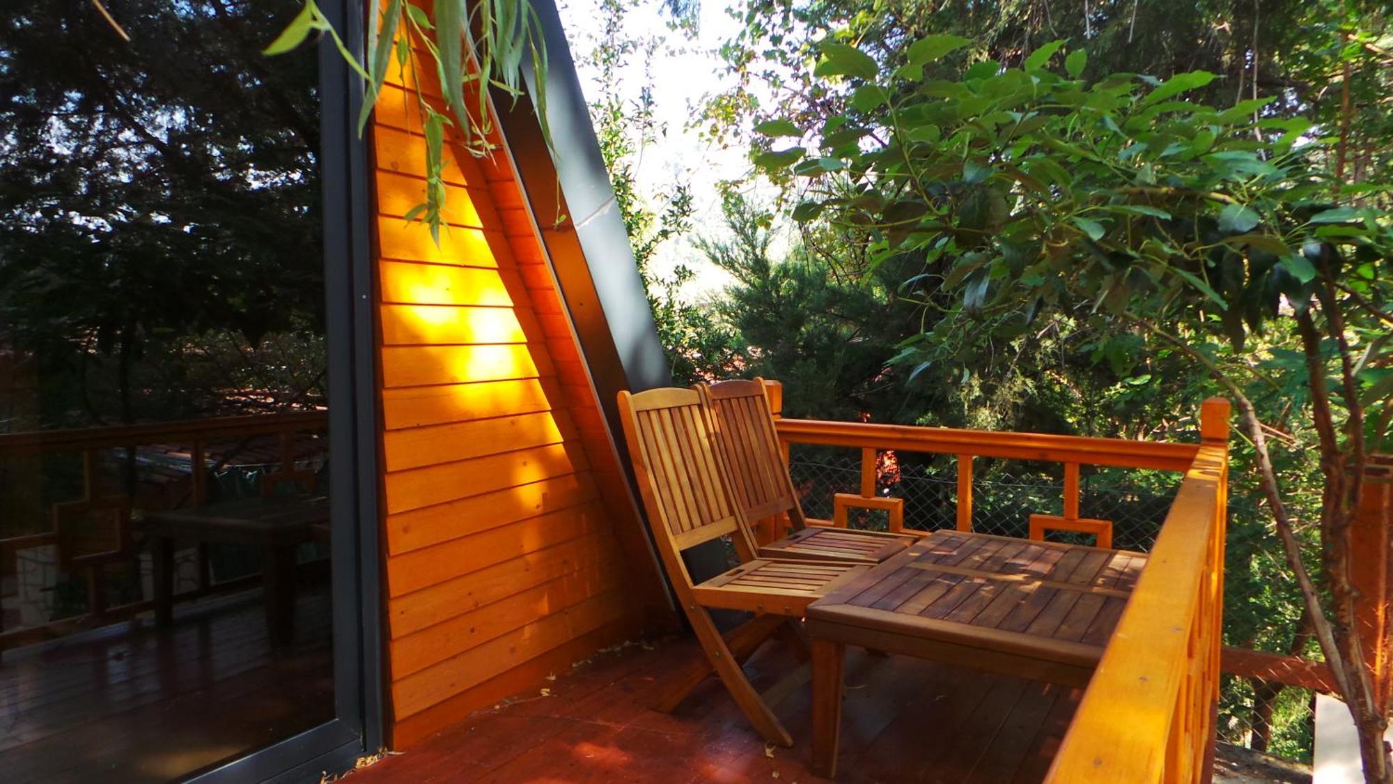 קמר Trinitys Forest Bungalows מראה חיצוני תמונה