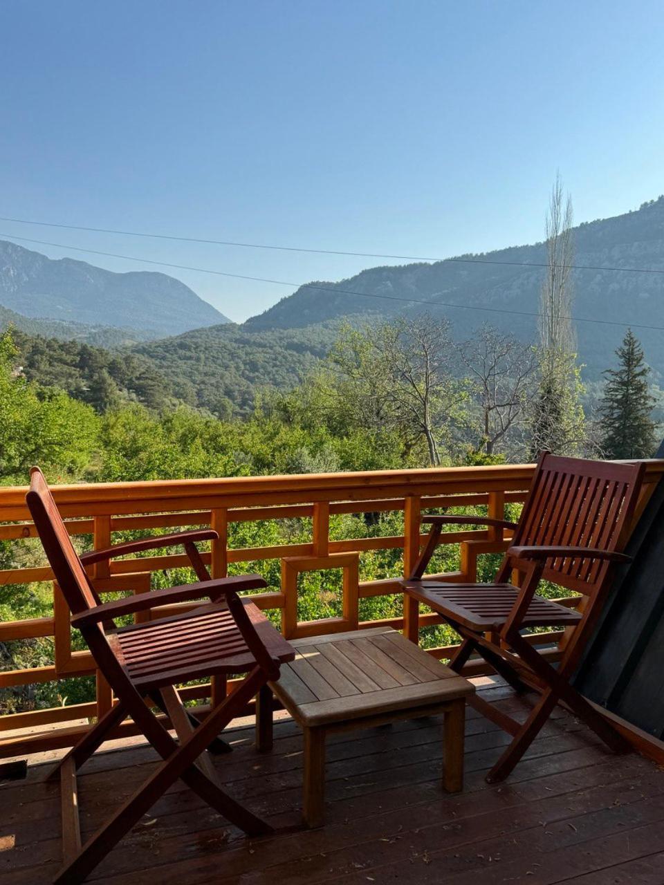קמר Trinitys Forest Bungalows מראה חיצוני תמונה